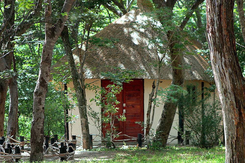 Gwango Heritage Resort Dete ภายนอก รูปภาพ