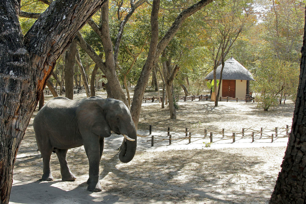 Gwango Heritage Resort Dete ภายนอก รูปภาพ